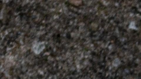 Mascarillas