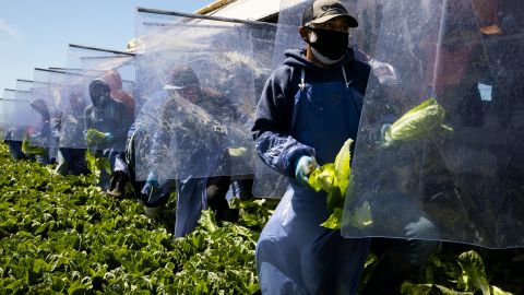 Algunas granjas han implementado sistemas de protección para sus trabajadores.