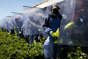 Rescatan himno de EEUU en español para liderar campaña en apoyo a inmigrantes esenciales durante coronavirus