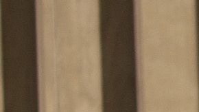 Tyson Food Donald Trump carne pollo coronavirus COVID-19 Indiana Logansport desinfección trabajadores bonos