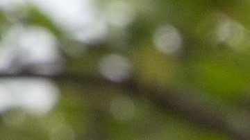 Memorial Day Día de los caídos Costco parrilladas héroes compras coronavirus