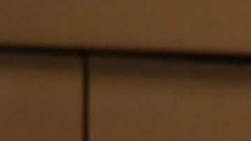 Jorge y Betty Rivas apoyan a Trump.