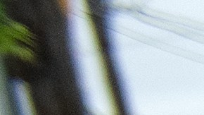 Las filas en los bancos y comerdores de alimentos cada día lucen más largas. (Foto: Getty Images)