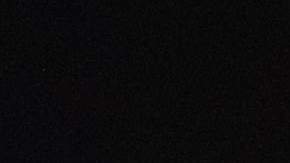 El 22% de los empleados en suministro de alimentos son inmigrantes.