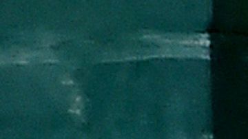 Joe Biden ganó la elección primaria en Nebraska.