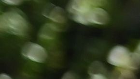 Neoyorquinos reciben alimentos en la despensa de Voices of Hagar en la iglesia de San Marcos AME, en Queens.