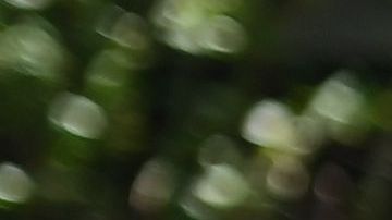 Neoyorquinos reciben alimentos en la despensa de Voices of Hagar en la iglesia de San Marcos AME, en Queens.