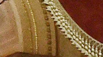 Coronavirus cheque estímulo económico Servicio Postal estudiantes trabajadores esenciales hipoteca vivienda agricultura estados elecciones 2020