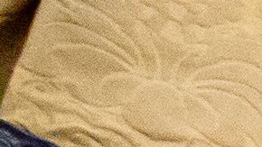 La bandera oficial de la Fuerza Espacial de EEUU fue desplegada en la Oficina Oval.