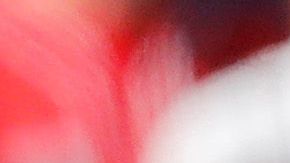 En apenas dos temporadas Juan Soto se ha destacado como una de las nuevas figuras del béisbol.