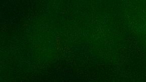 Decenas de personas salen a los parques.