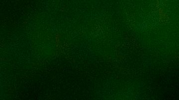 Decenas de personas salen a los parques.