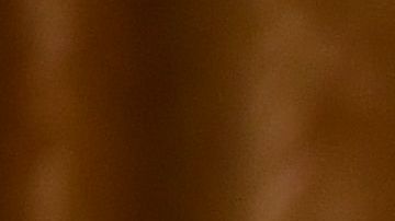 El presidente Donald Trump recibió una tarjeta de débito con su nombre.