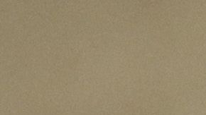 Fauci es el primer cargo de la Administración Trump en contradecir al presidente respecto al fármaco.