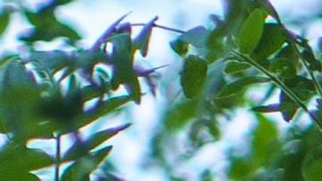 La muerte de Floyd ha originado protestas a nivel nacional.