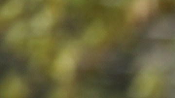 Ha habido otras protestas similares en Kansas.