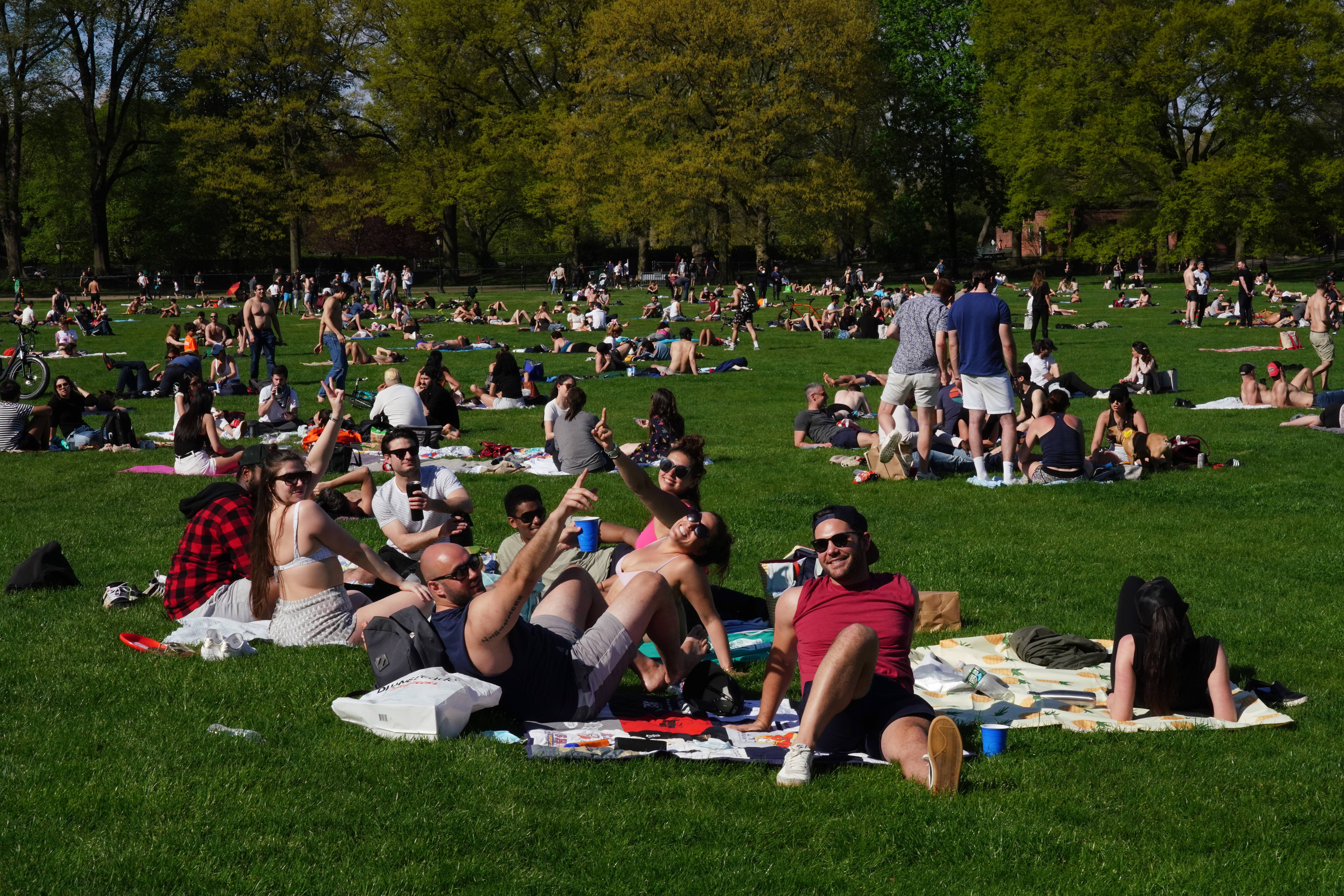 Grupos de amigos en Central Park pese al Covid-19