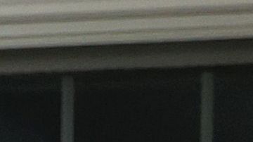 Heuwetters perros Buddy Barley cerveza coronavirus pandemia COVID-19 Huntington Nueva York golden retriever distanciamiento social