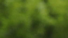 No queda claro si el presidente Trump portará la máscara.