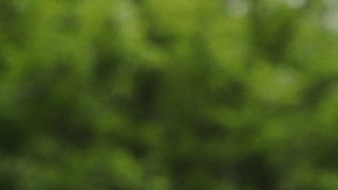 No queda claro si el presidente Trump portará la máscara.