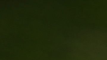 National Nurses United colocó 88 pares de zapatos que representan a las enfermeras que murieron a causa de COVID-19 frente a la Casa Blanca el 7 de mayo de 2020.