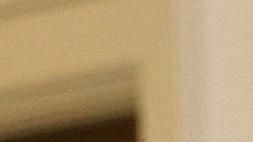 Bright es más pesimista que el Gobierno respecto a la fecha de la vacuna.