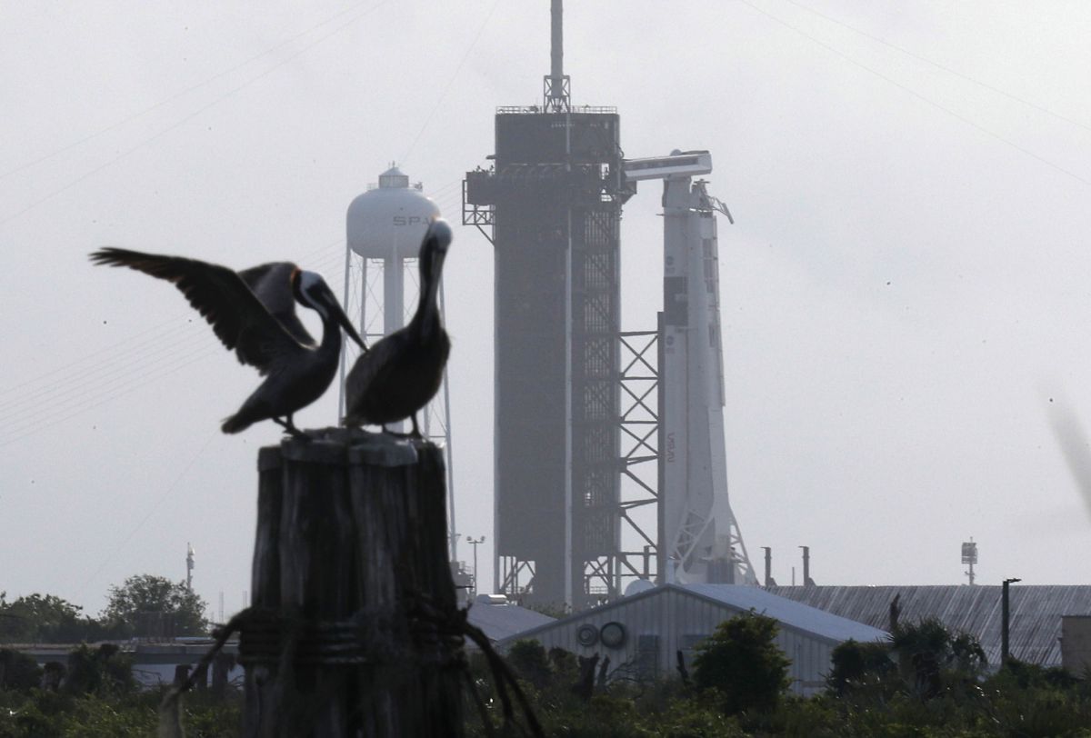 El desarrollo de SpaceX le costó a la NASA cerca de $1,700 millones de dólares.