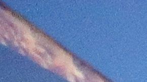 Las Vegas Nevada Casinos coronavirus Scott Gottlieb FDA Caesars Palace Bellagio MGM Grand Wynn Resorts Steve Sisolak