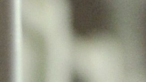 Paloma en una jaula.