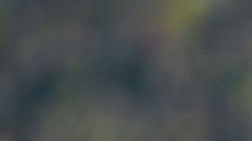 Jürgen Klopp tomando cerveza después de un partido dirigiendo al Borussia Dortmund.