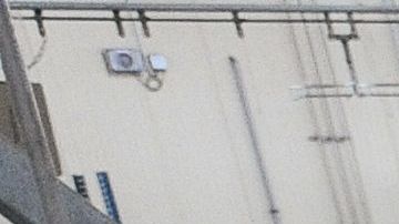 El suministro de carne estaba en riesgo en Estados Unidos, según expertos.