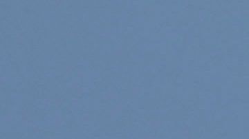 La especie del tiburón peregrino es la segunda más grande del océano.