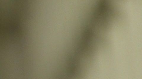 ICE detenido