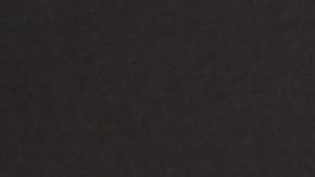 Chiara de Blasio en Mercedes-Benz Fashion Week Spring 2015.