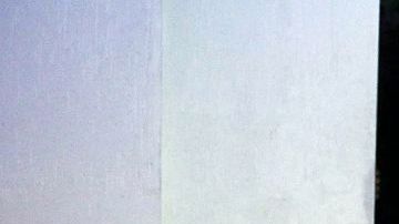 Suzy Cortés, la famosa modelo Miss BumBum.