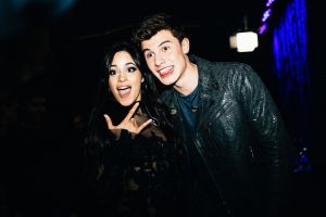 Shawn Mendes no conocía el amor verdadero hasta la llegada de Camila Cabello