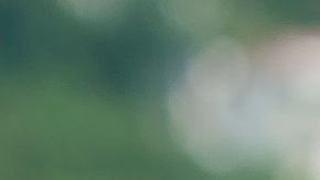 Richard Gere y Alejandra Silva.