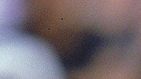 El hijo de Luis Polonia falleció a los 27 años de edad.