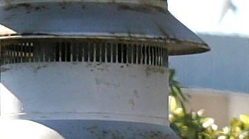 Denuncian que los traslados de cárceles estatales contribuyen a propagar el virus.