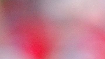 El 4 de julio aparece como la fecha tentativa para arrancar el calendario.