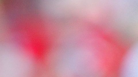 El 4 de julio aparece como la fecha tentativa para arrancar el calendario.