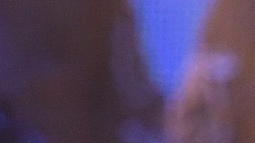 Alejandro Fernández y su familia decidieron refugiarse en un lugar secreto de México.