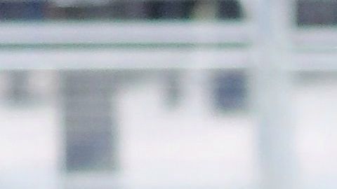 Príncipe Harry y Meghan Markle disfrutan pasear con sus perros aún en la cuarentena.