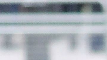 Príncipe Harry y Meghan Markle disfrutan pasear con sus perros aún en la cuarentena.