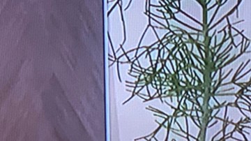 Pamela Silva presenta a su hijo Ford