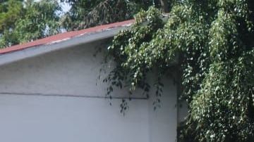 A partir de este lunes 58 médicos de tres hospitales de Ciudad de México dormirán en el lugar