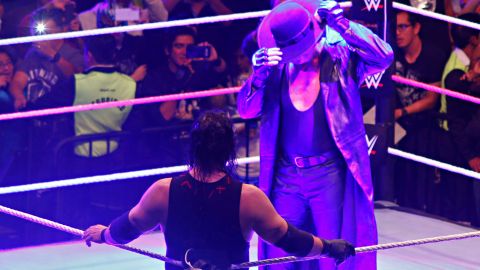 The Undertaker