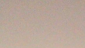 Almeyda y Herrera son dos técnicos exitosos en la Liga MX.