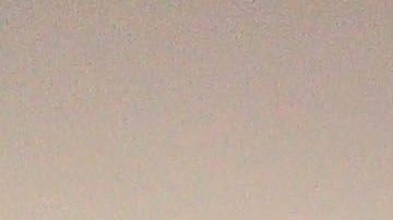 Almeyda y Herrera son dos técnicos exitosos en la Liga MX.