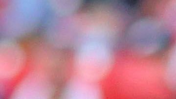 Pulido y Pizarro han estado en el ojo del huracán.